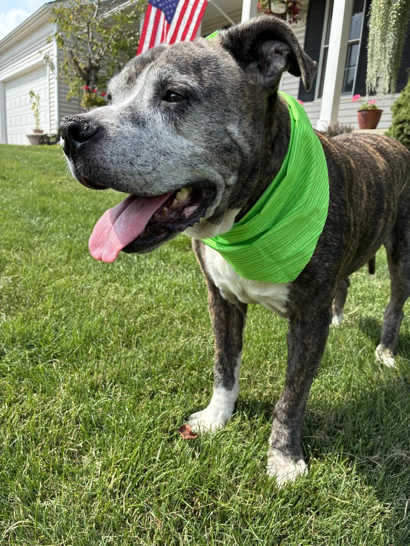 Nyla the sweet girl thumbnail 2
