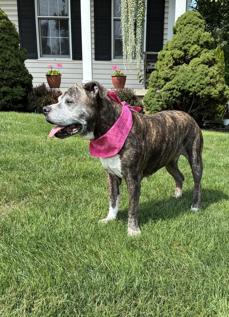 Nyla the sweet girl thumbnail 3
