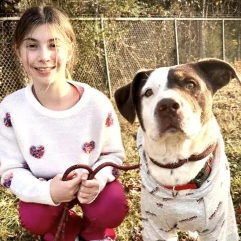 Bandit S thumbnail 5