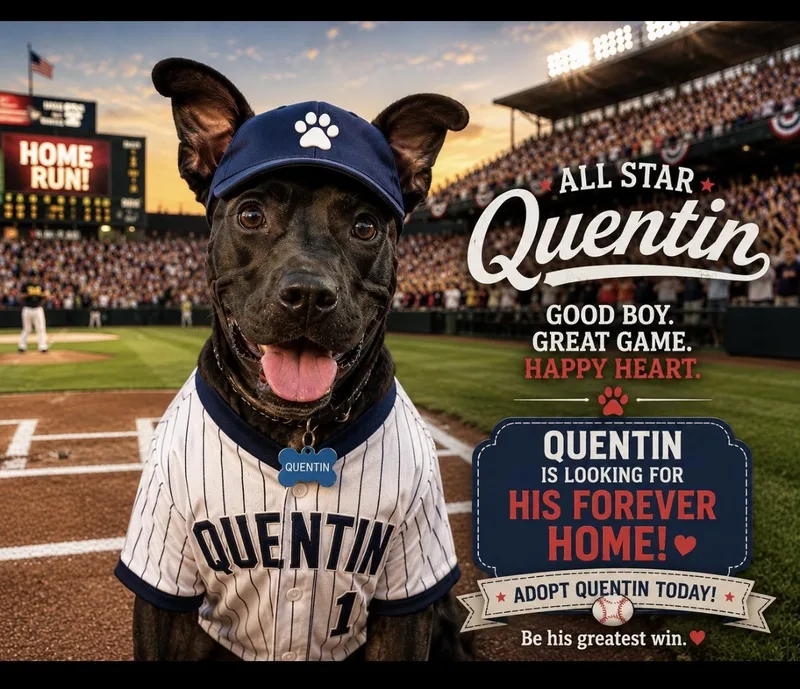Quentin thumbnail 4