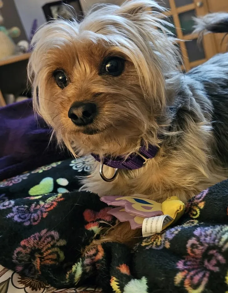 Jax