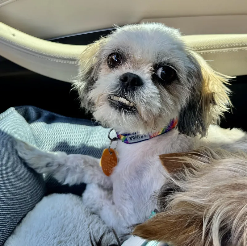 Penny Lane
