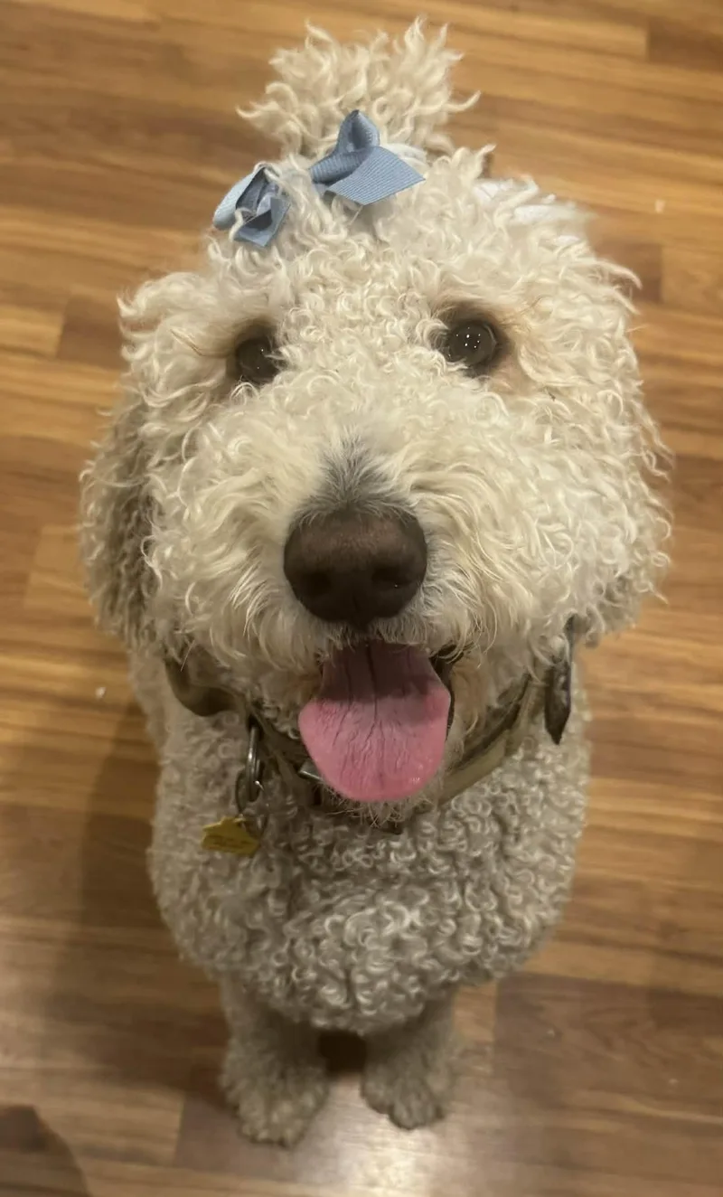 Maverick thumbnail 5