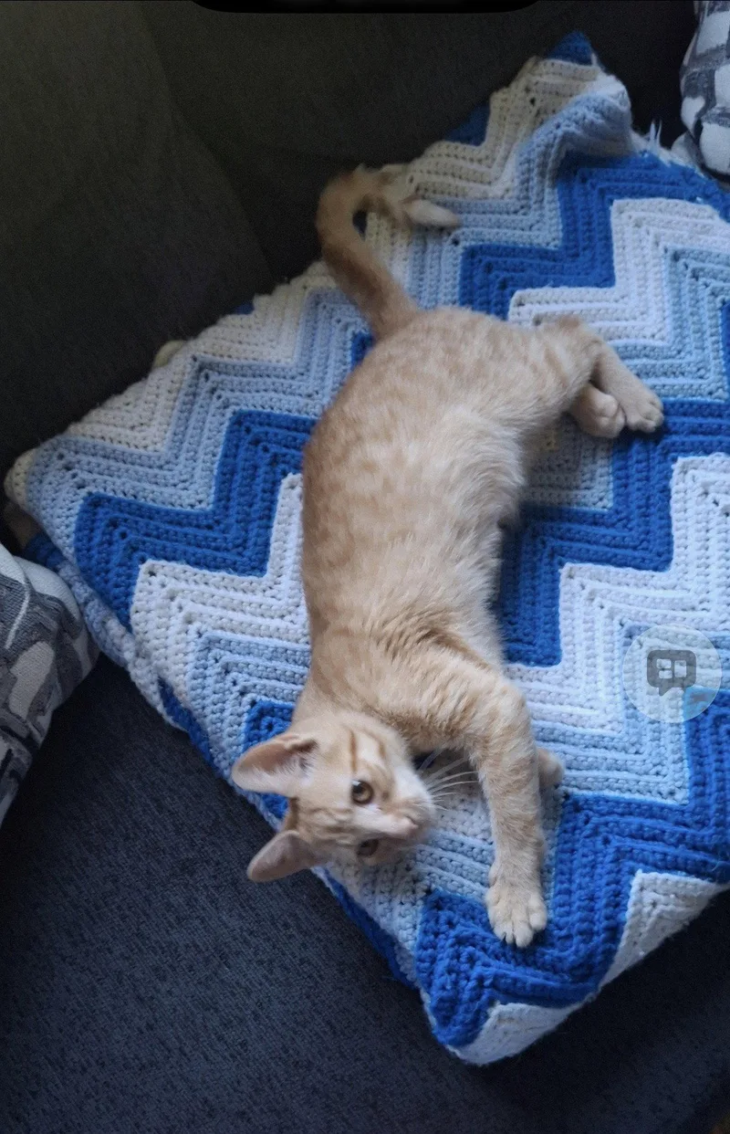 Hobbes thumbnail 3