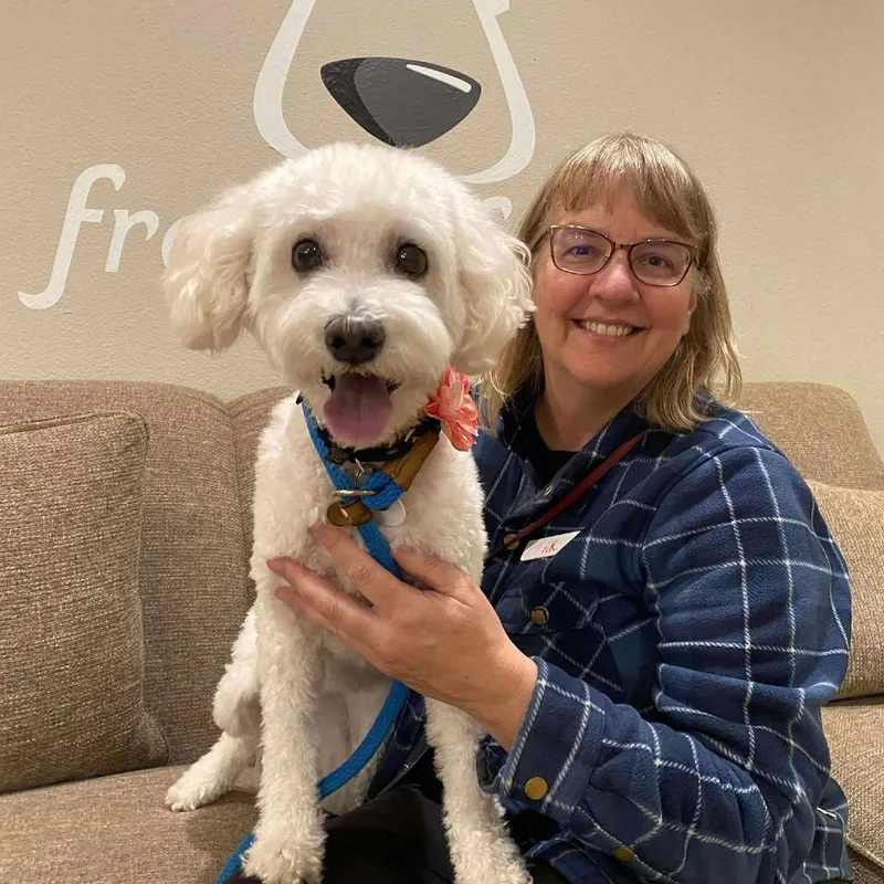 A senior small-sized female White / Cream Maltese dog named Chiquita for adoption in Ramona, CA