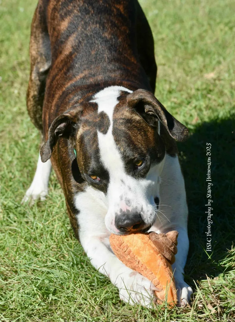 Zeke Trained thumbnail 3