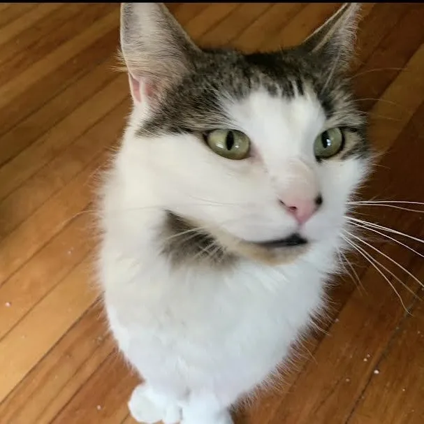 Minnie and Petey thumbnail 2