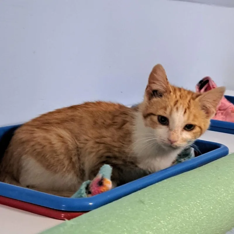 Little Bit thumbnail 3