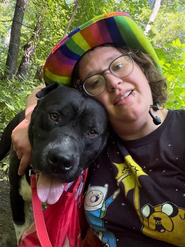 An adult medium-sized male Mixed Breed dog named Gunter for adoption in Cincinnati, OH