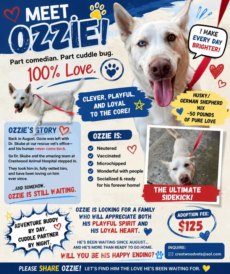 Ozzie thumbnail 3