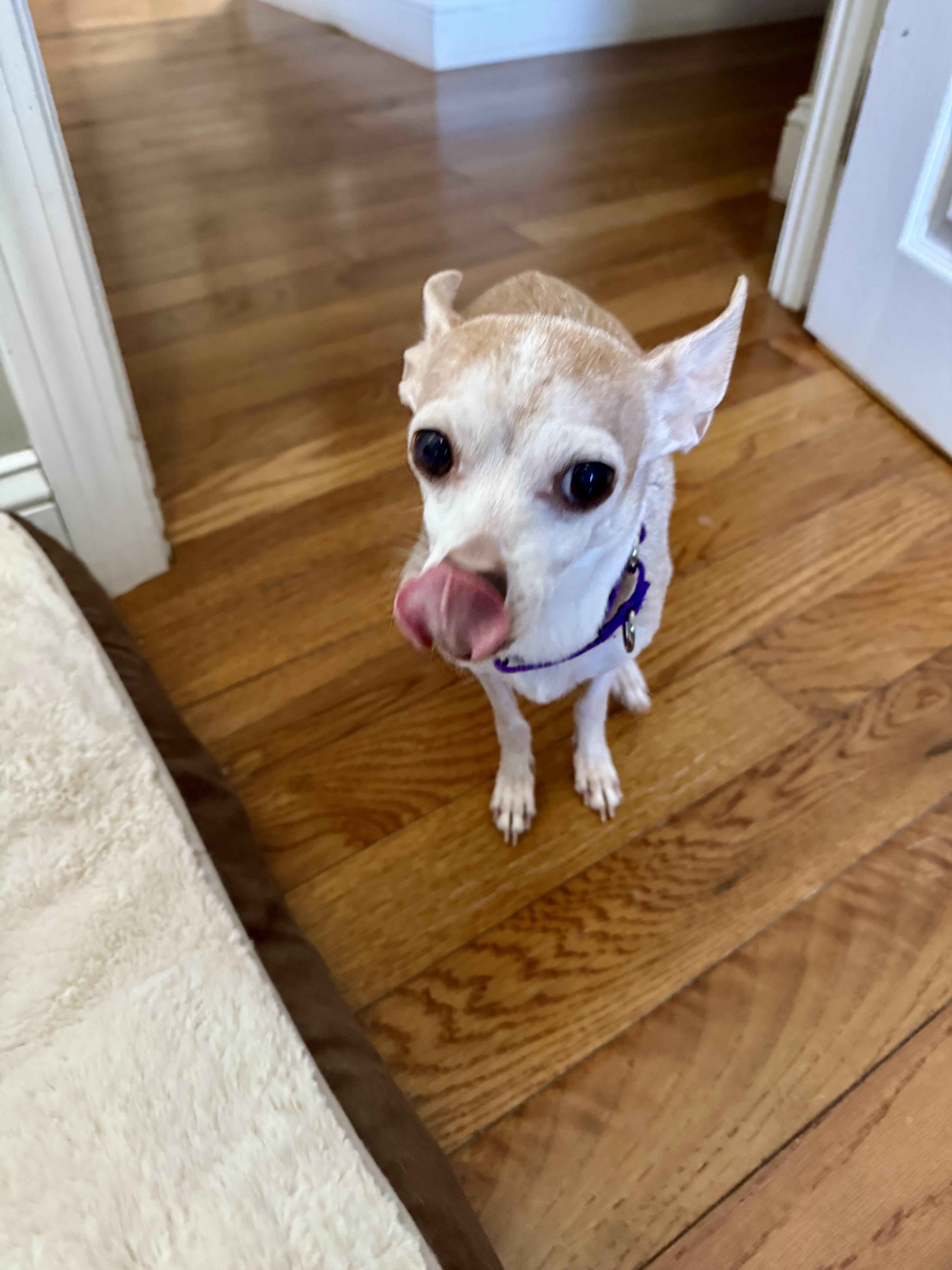 Christie thumbnail 2