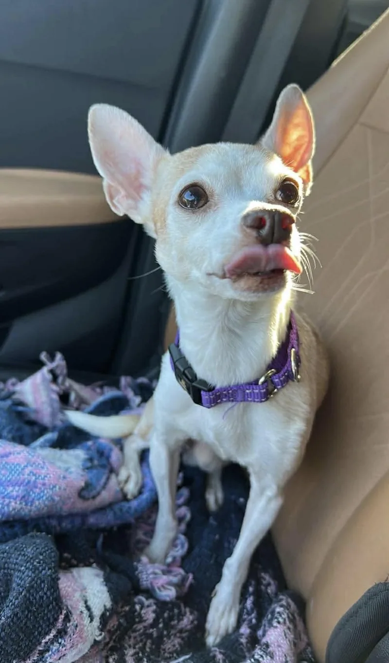 Christie thumbnail 3