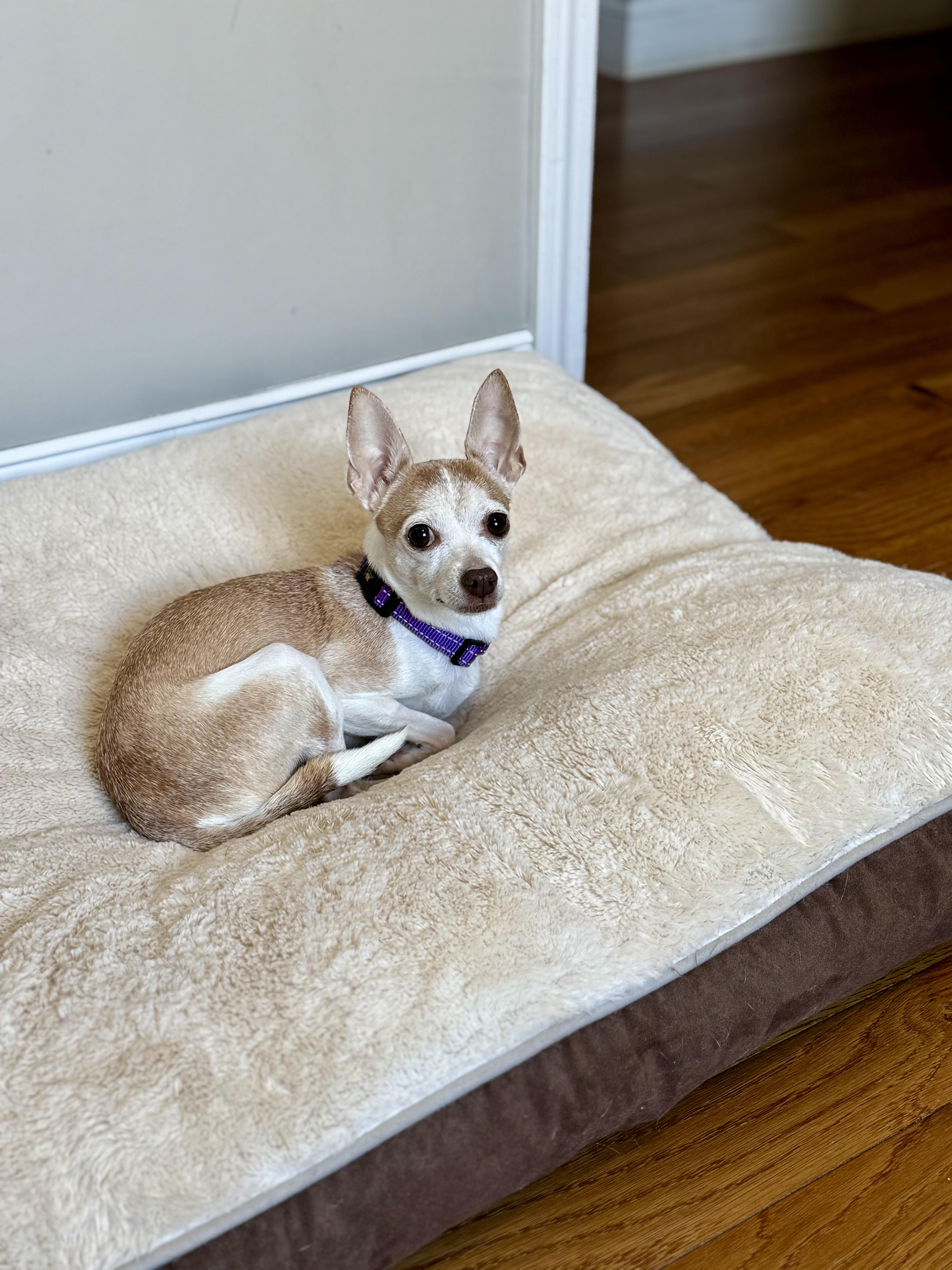 Christie thumbnail 5