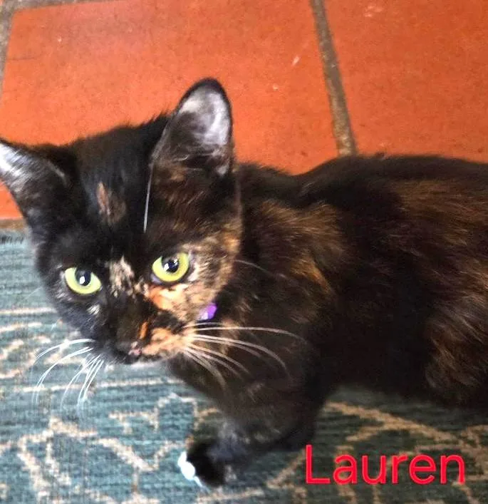 Lauren thumbnail 2