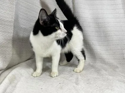 Princess thumbnail 2