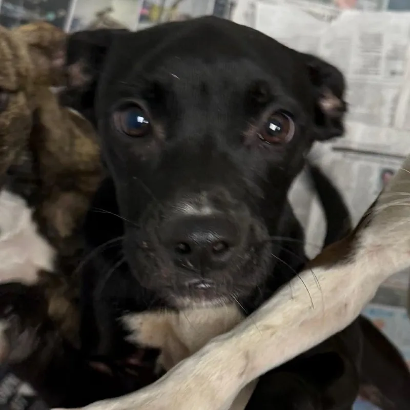 Cloe thumbnail 2