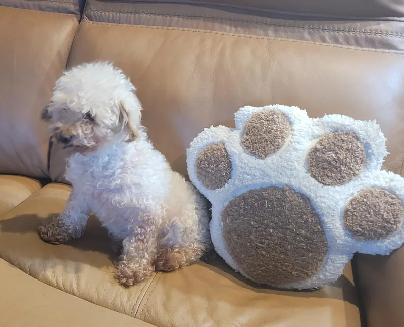 Peanut thumbnail 2