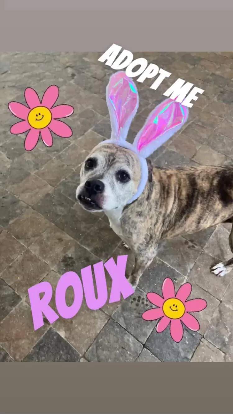 Roux thumbnail 4