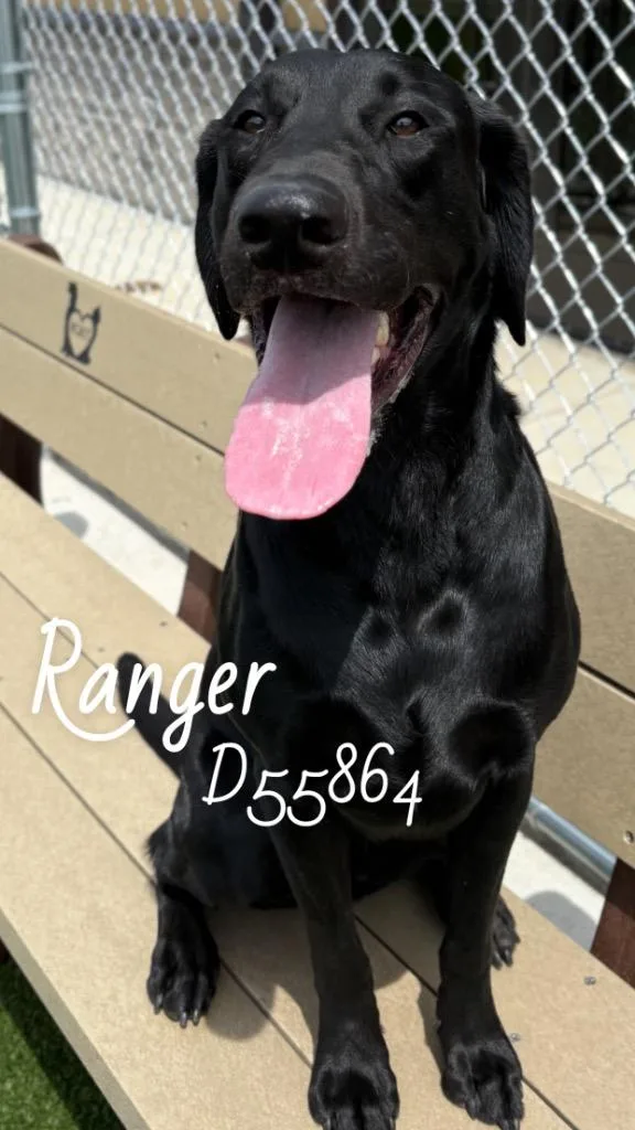 Ranger