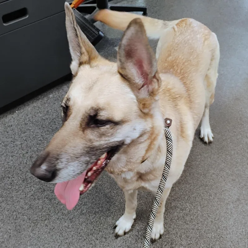 Queen Elinor thumbnail 2