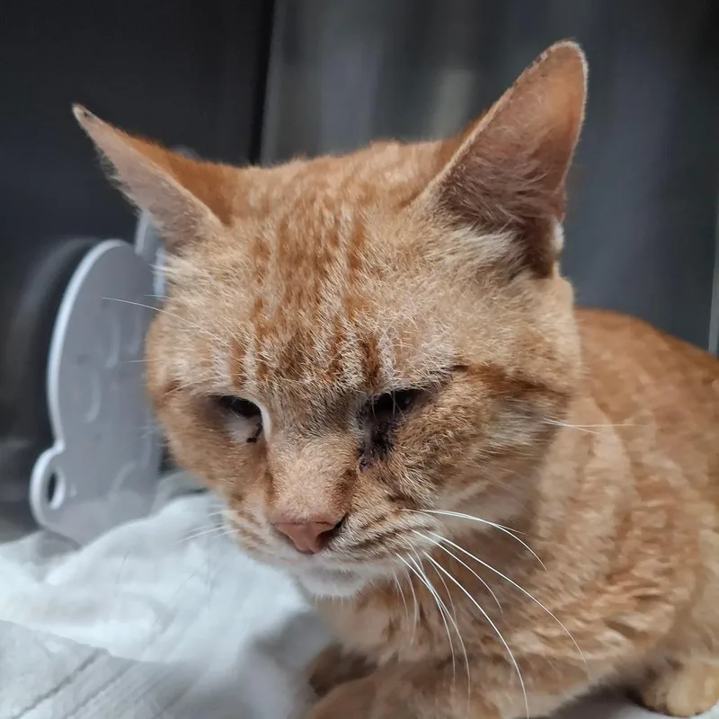 Rusty