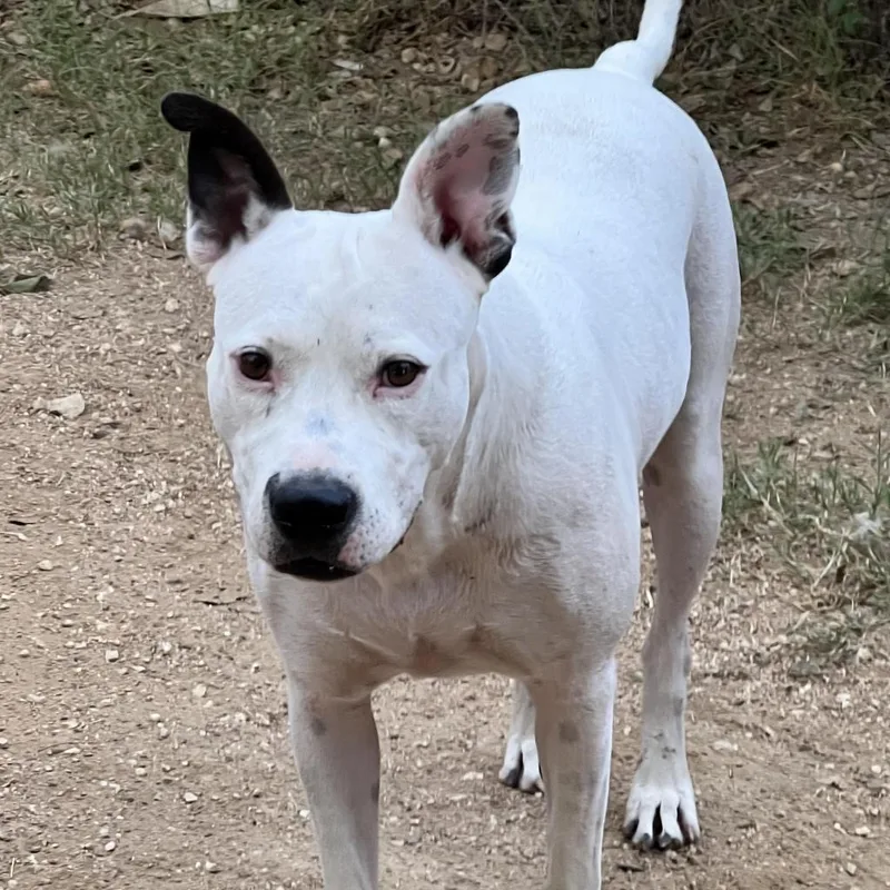 Kinsley Kr thumbnail 2