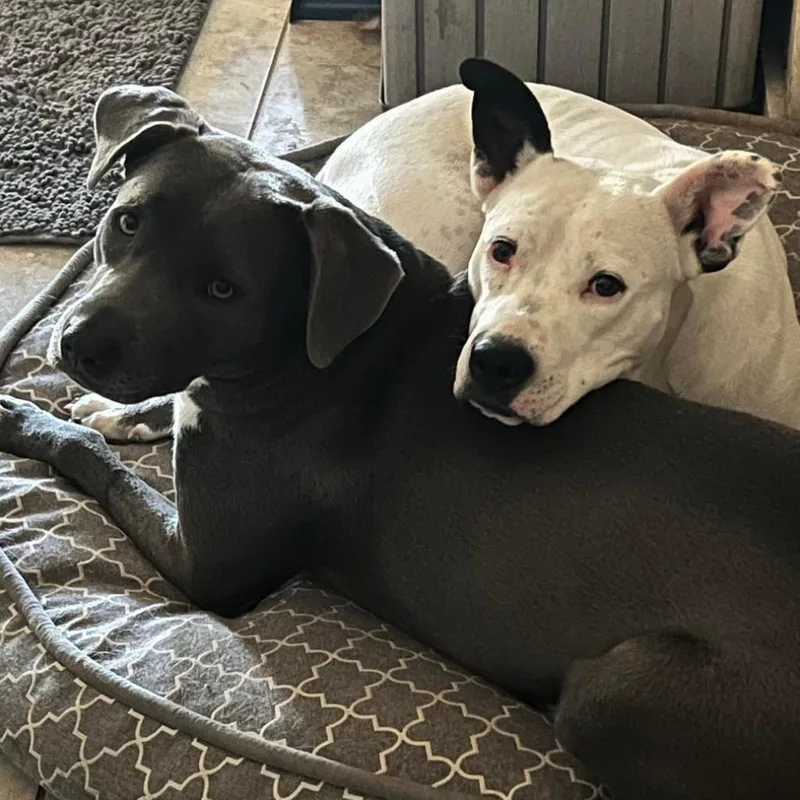 Kinsley Kr thumbnail 3