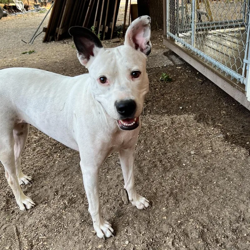 Kinsley Kr thumbnail 4