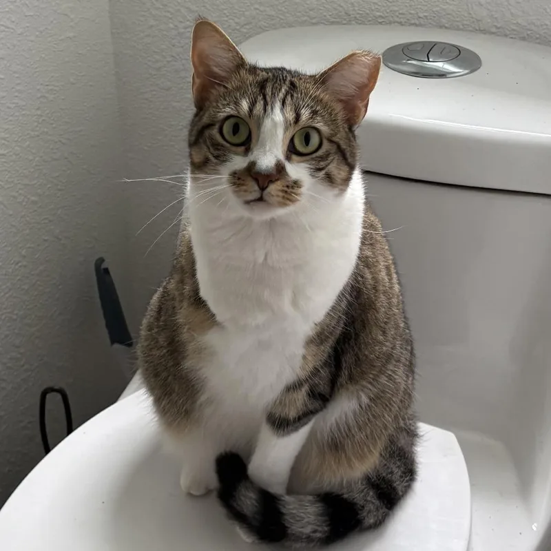 Valentina thumbnail 2