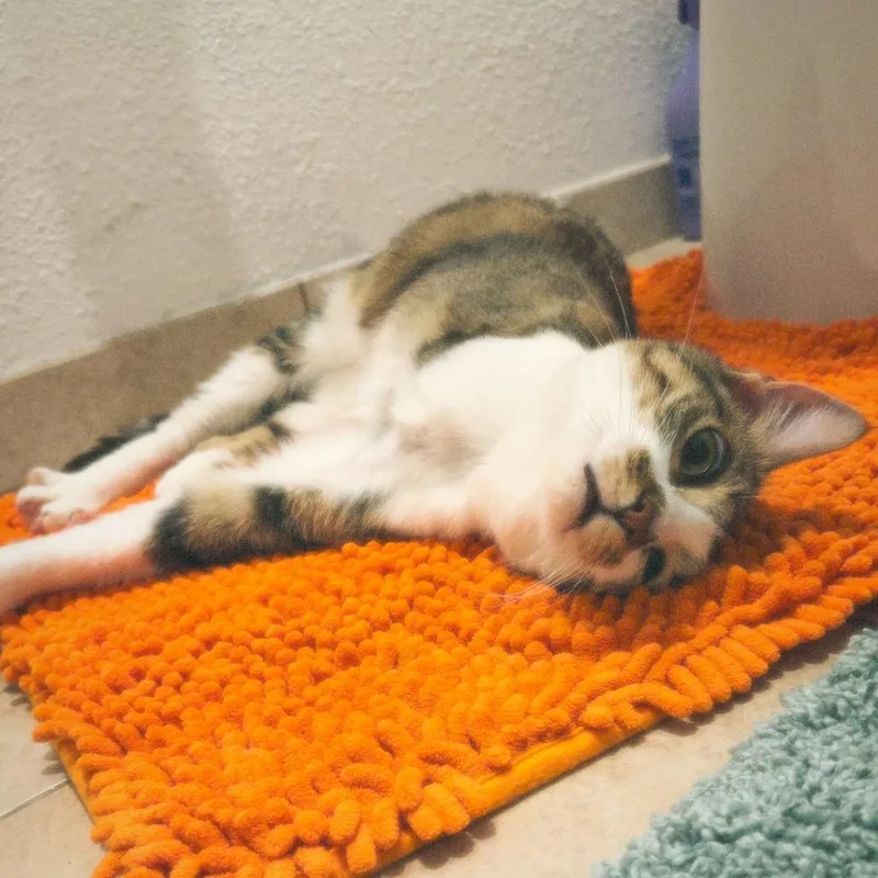 Valentina thumbnail 3