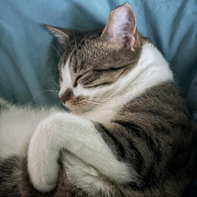 Valentina thumbnail 4