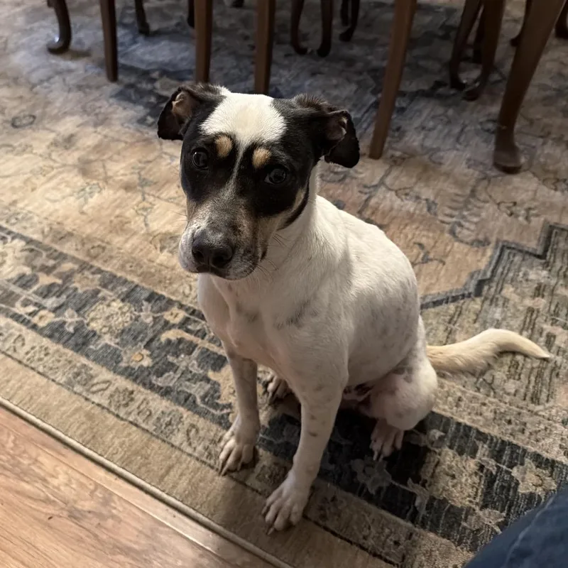 Cordelia thumbnail 5