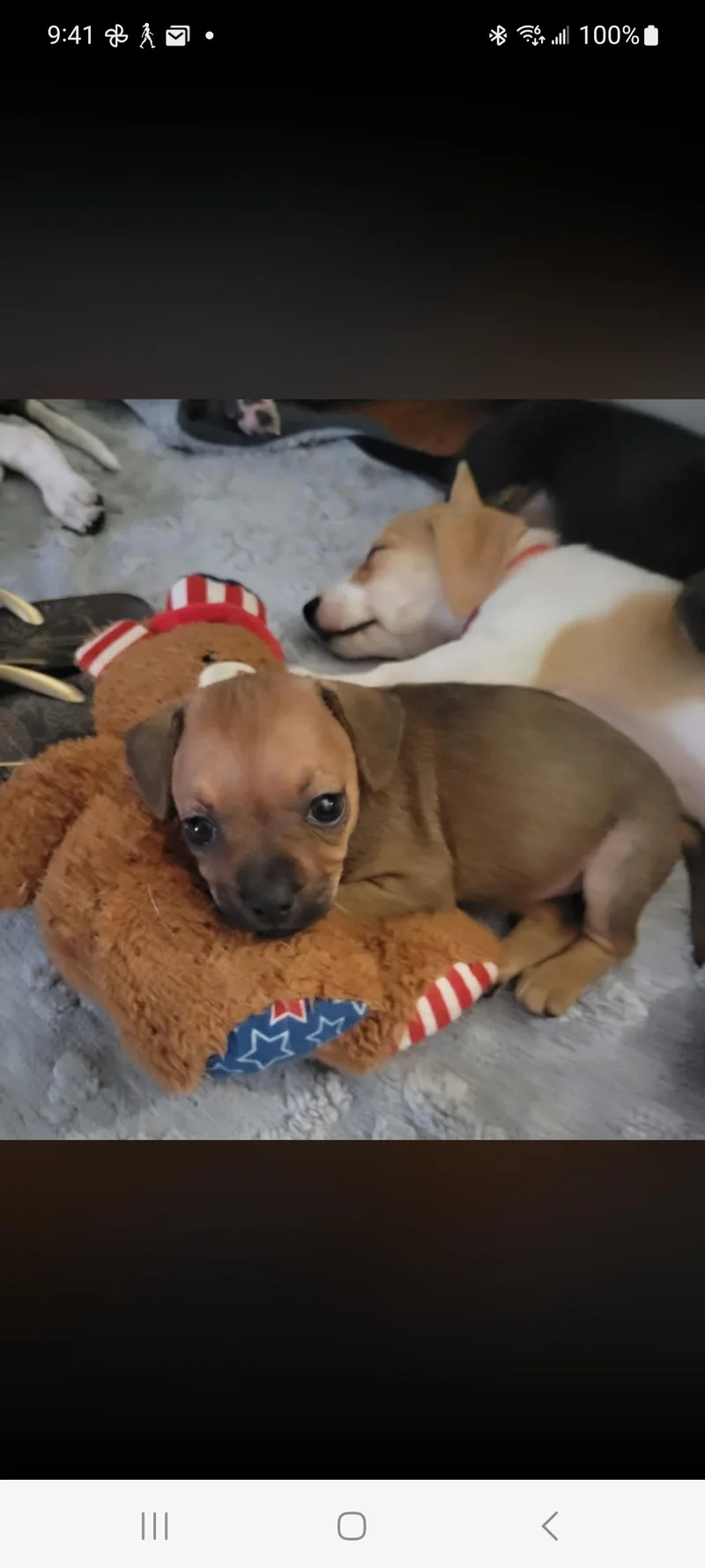 Josie thumbnail 2