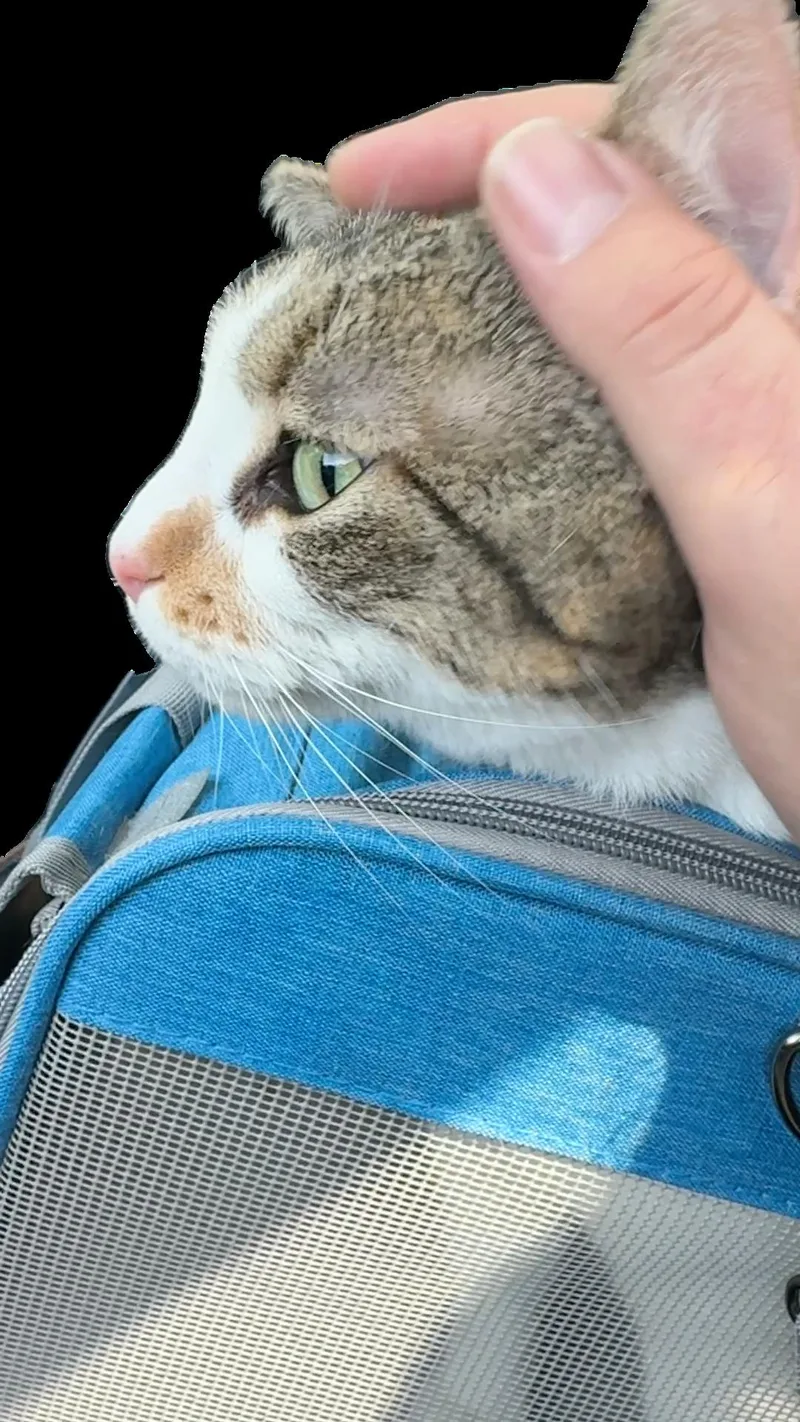 Delilah thumbnail 2