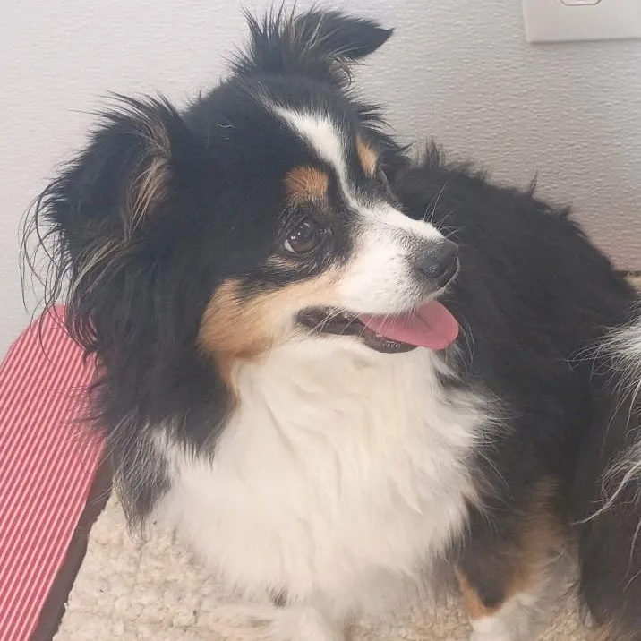 Bonnieeverything Familiar  Gone... thumbnail 2