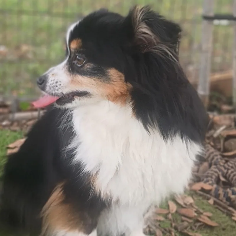 Bonnieeverything Familiar  Gone... thumbnail 3