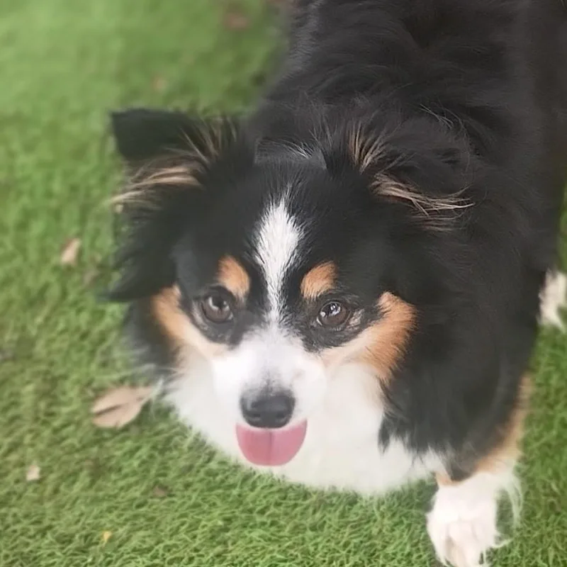 Bonnieeverything Familiar  Gone... thumbnail 4