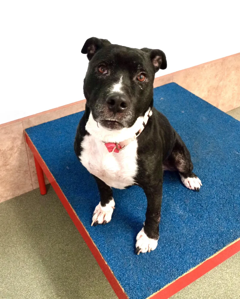 Miagentle And Loving thumbnail 3