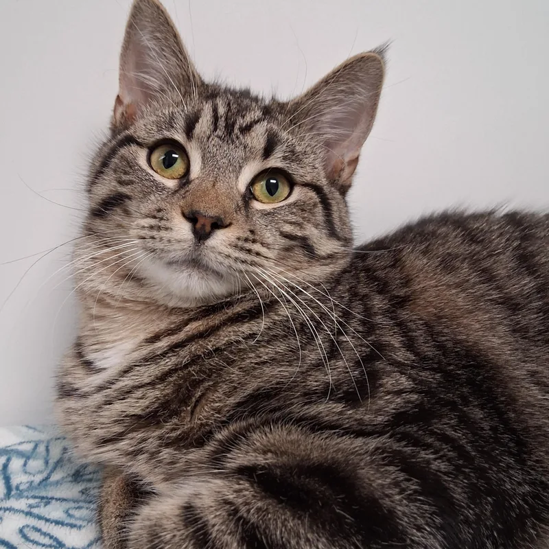 Sebastian thumbnail 2