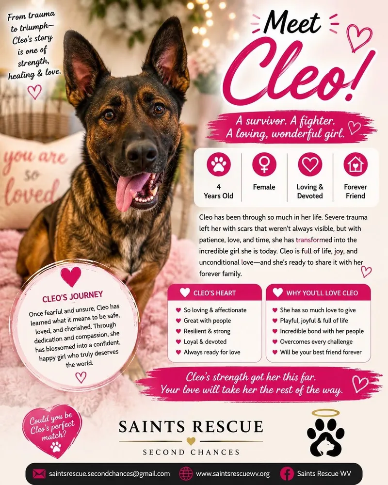 Cleo