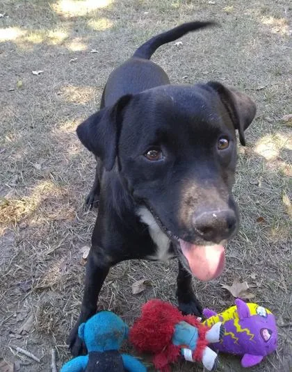 Ettajames thumbnail 2