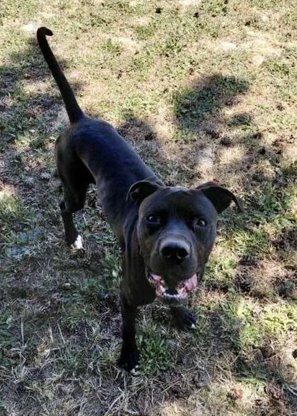 Jetty Jet Jetterson thumbnail 2