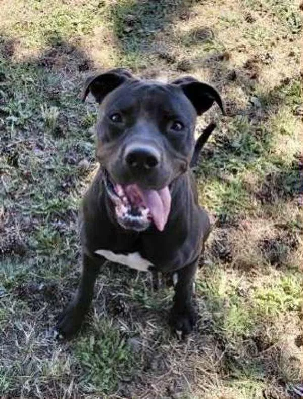 Jetty Jet Jetterson thumbnail 3