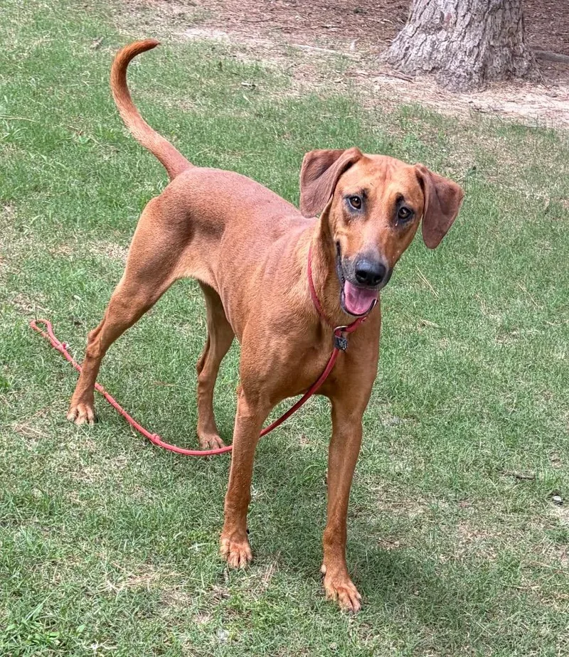Matilda