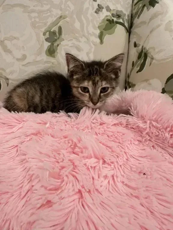 Precious