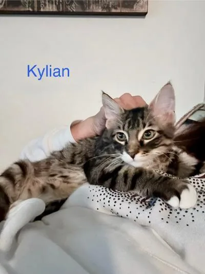 Kylian