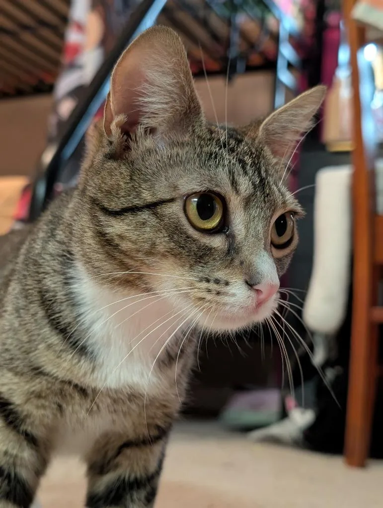 Rosie May thumbnail 2