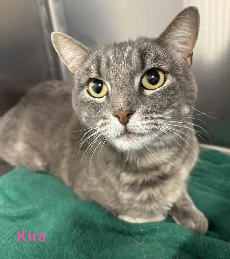 Kira