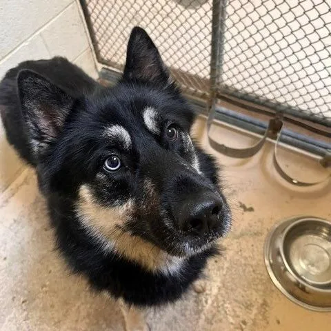 Sebastian