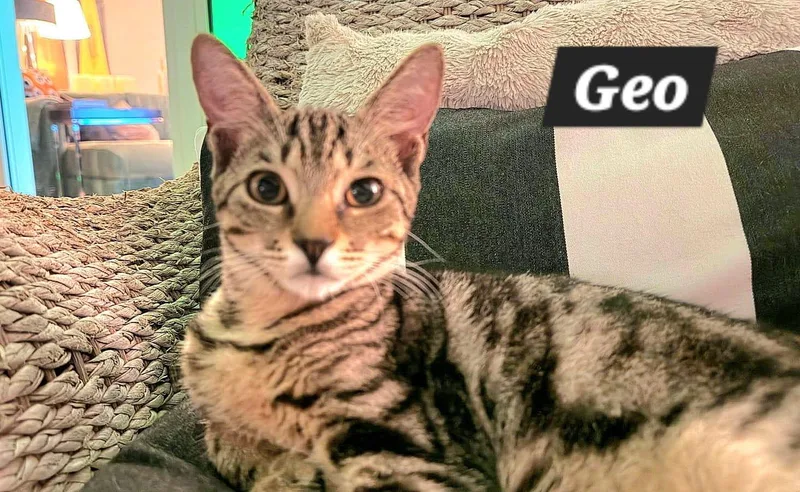 Geo thumbnail 2